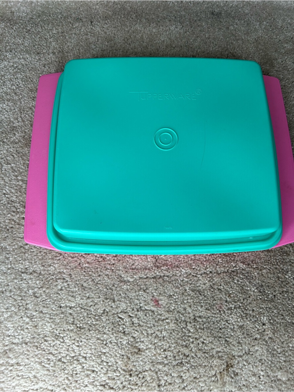 Tupperware Teal and Pink vintage 90s devil egg keeper inserts snap lid